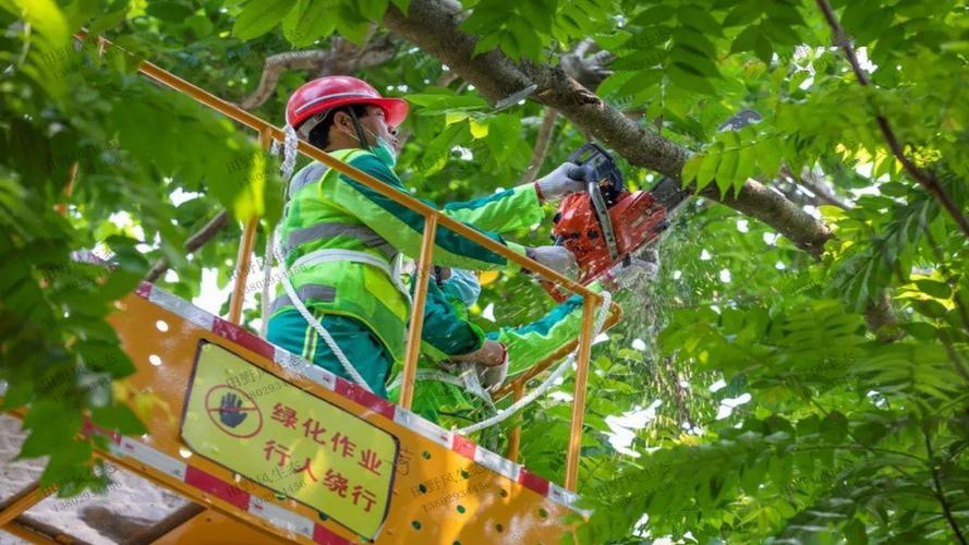 新乡城市绿化主要有哪些工作