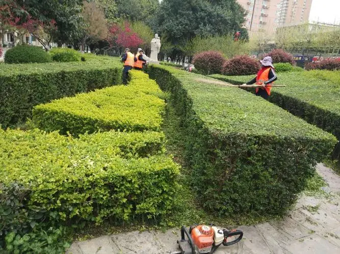 迎泽区先进绿化工程质量保证