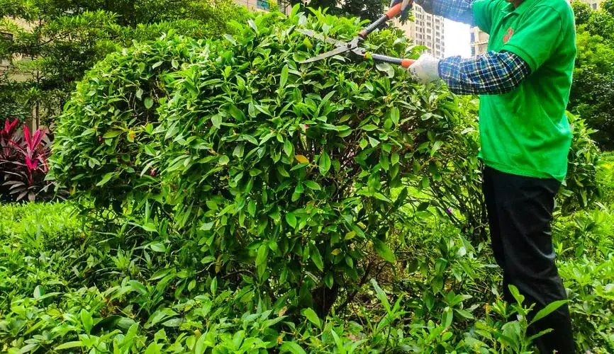 阳光家庭能源开启苏州零碳墅居探索之旅 引领未来绿色人居新范式